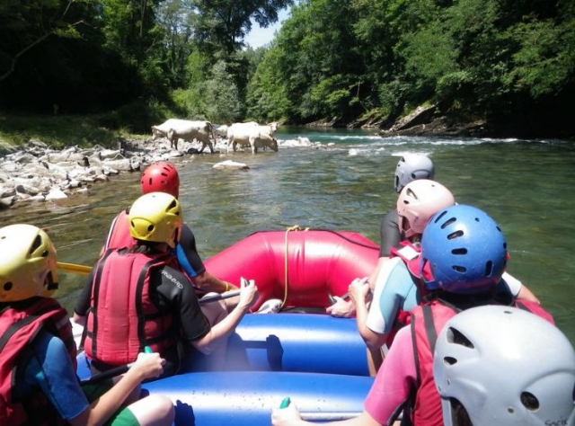  Surprises on the river